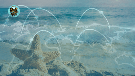 Ilustración Perla Vallejo