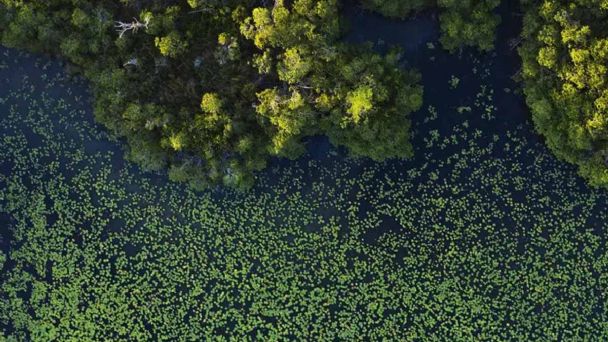 Fuente: El mañana de Nueva Laredo